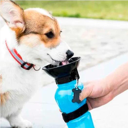 TERMO PARA MASCOTAS PORTA AGUA - EXPRESS 🇨🇱